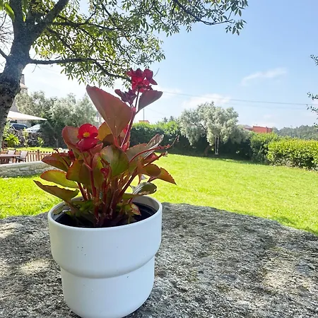 Сasa de vacaciones As Cortiñas, casa vacacional completa en Laxe