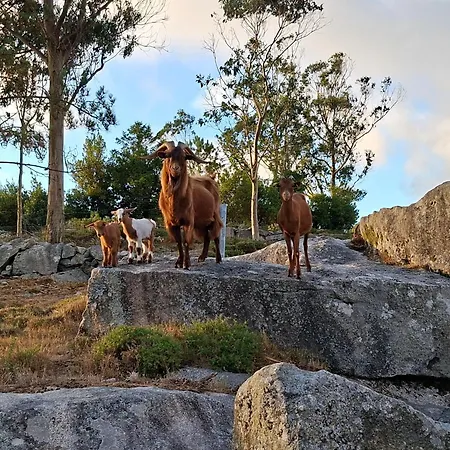 Сasa de vacaciones As Cortiñas, casa vacacional completa en Laxe *