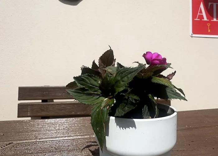 As Cortinas, Apartamentos Turisticos * Coens