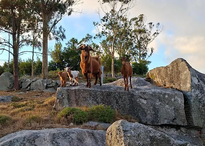 Vakantiehuis As Cortinas, Apartamentos Turisticos *